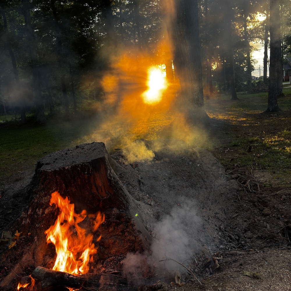 Meet your Posher, Emilee